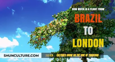 Brazil to London Flights: Cost Breakdown and Booking Tips