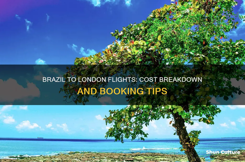 how much is a flight from brazil to london