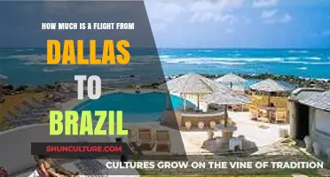 Dallas to Brazil Flights: Cost Breakdown and Booking Tips