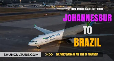 Johannesburg to Brazil Flights: Cost, Tips, and Best Deals