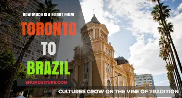Toronto to Brazil Flights: Cost Breakdown and Budget Tips