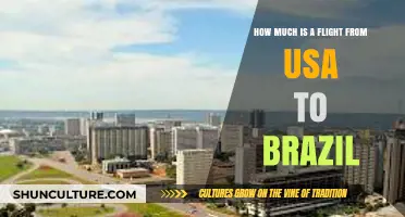 USA to Brazil Flights: Cost Breakdown and Budget Tips