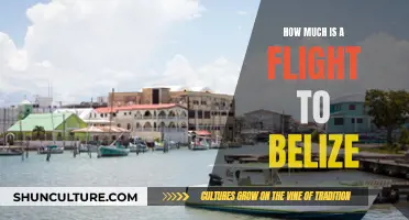 Belize on a Budget: Flight Costs and Tips