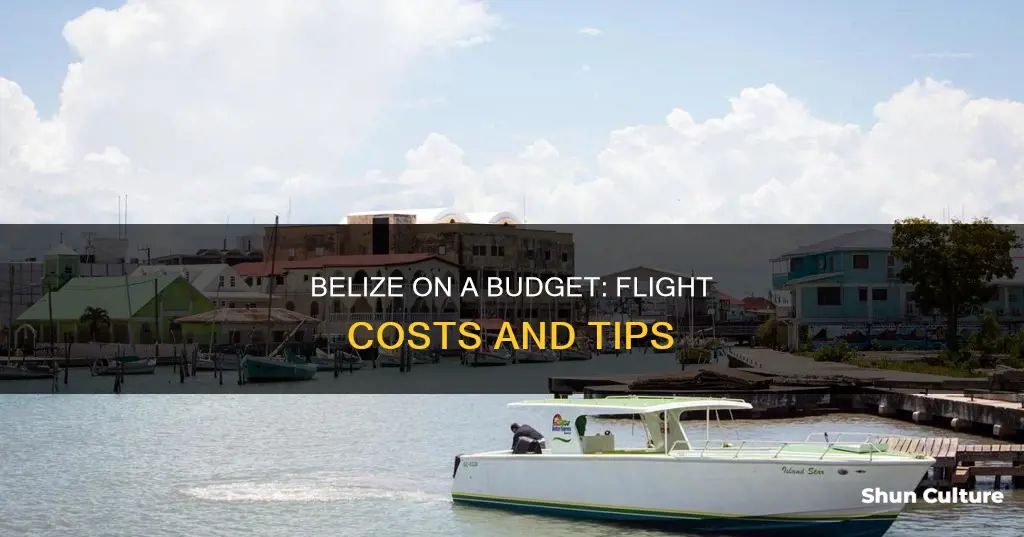 how much is a flight to belize