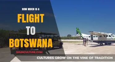 Exploring Botswana: Flight Costs and Travel Budget Tips