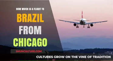 Chicago to Brazil Flights: Cost Breakdown and Booking Tips