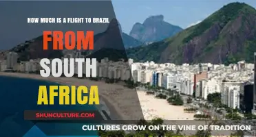 Flight Costs: South Africa to Brazil Travel Budget Guide