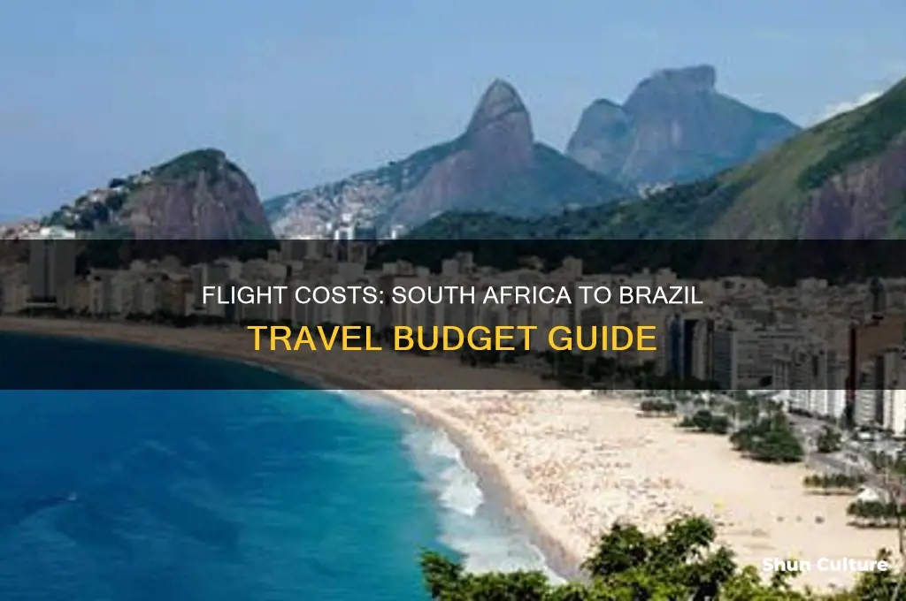 how much is a flight to brazil from south africa