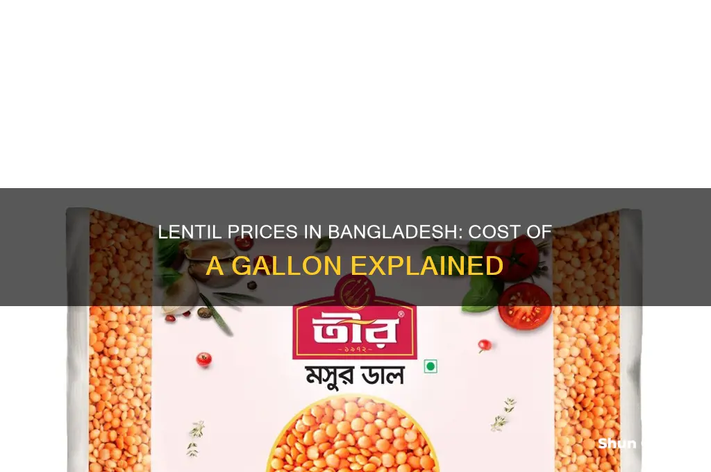 how much is a gallon of lentils bangladesh