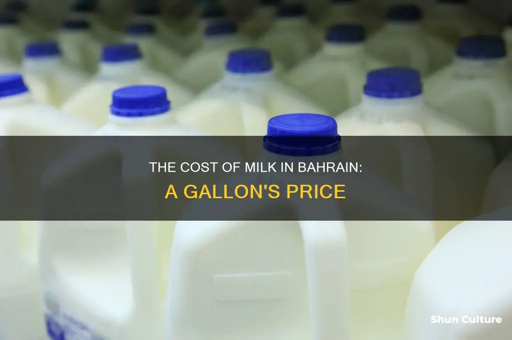 how much is a gallon of milk in bahrain