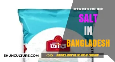 Cost of a Gallon of Salt in Bangladesh: Pricing Insights