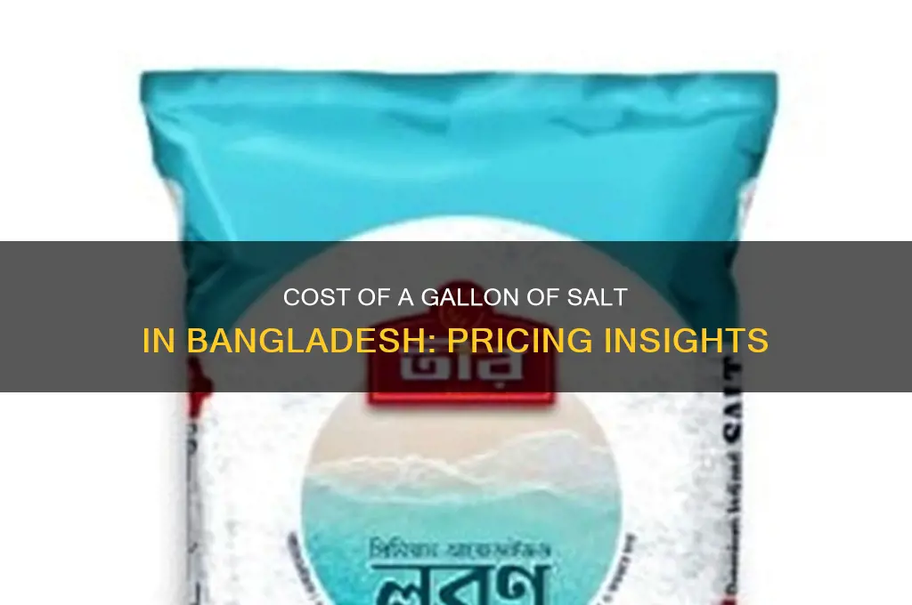 how much is a gallon of salt in bangladesh
