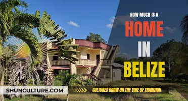 Belize's Real Estate Market: Home Prices Revealed