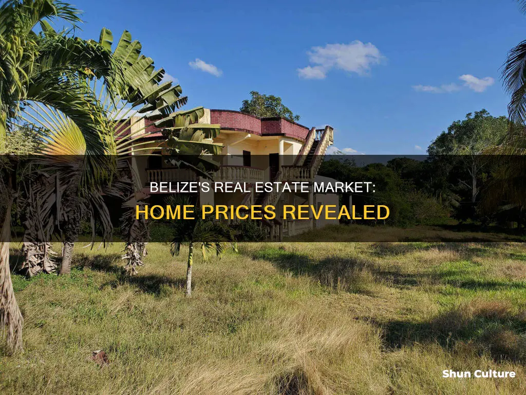 how much is a home in belize