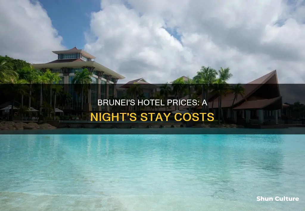 how much is a hotel night in brunei