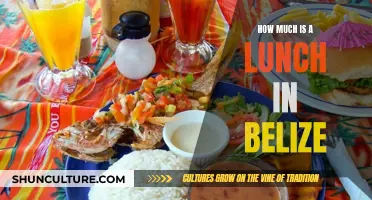 Belize's Lunchtime Bargains: Delicious Meals on a Dollar