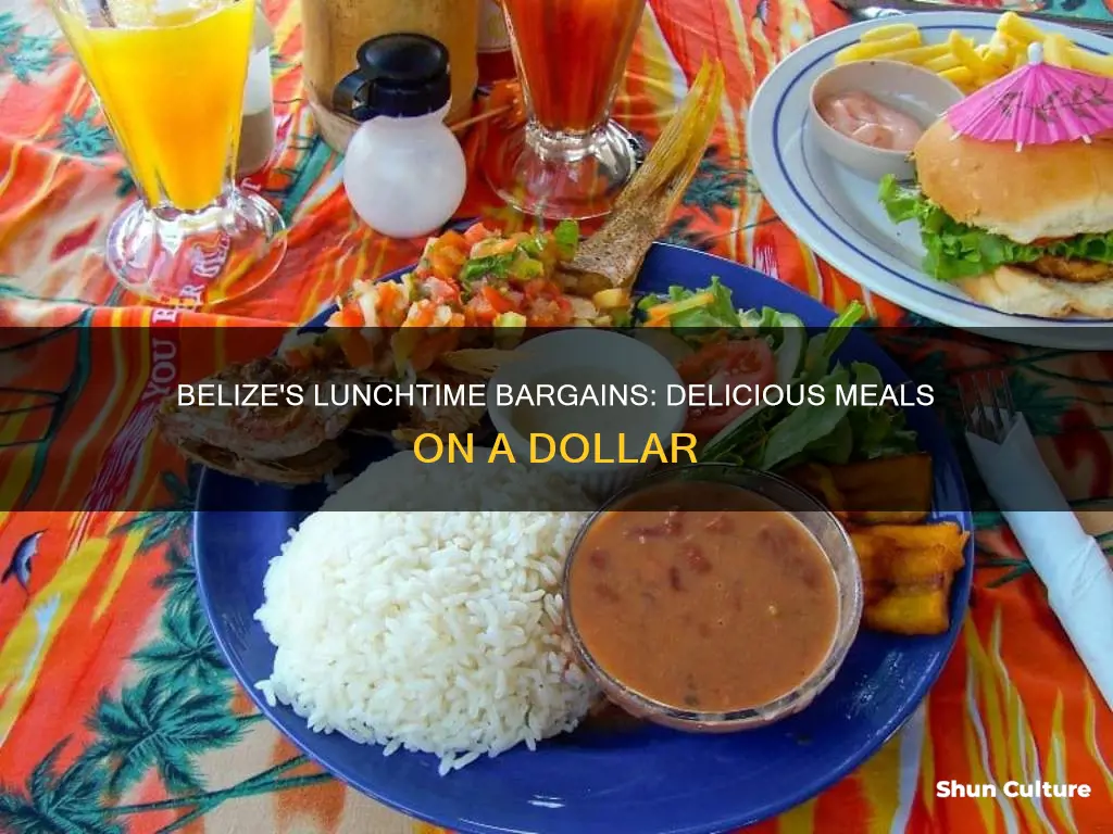 how much is a lunch in belize