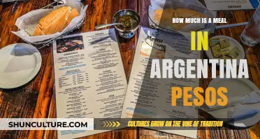 Exploring the Cost of Dining in Argentina: A Peso Perspective