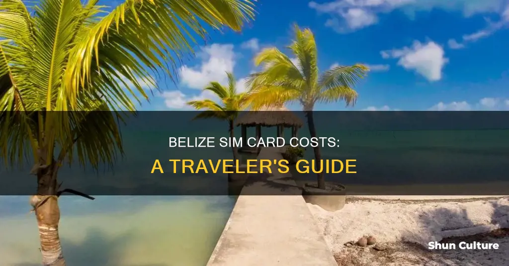 how much is a new sim card in belize