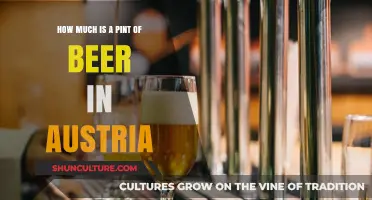 A Guide to Beer Prices: Austria's Pint Prices