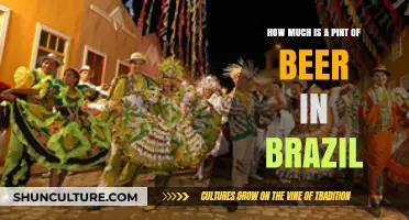 Exploring Brazil's Beer Prices: How Much is a Pint?