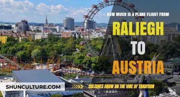 Exploring Flight Costs: Raleigh to Austria