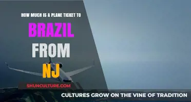 NJ to Brazil: Plane Ticket Costs and Travel Tips