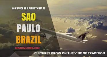 Plane Ticket Prices to Sao Paulo, Brazil: What to Expect