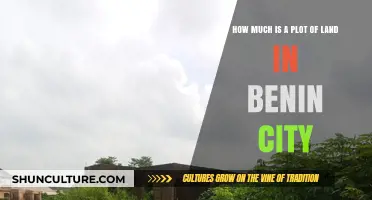 Exploring Real Estate Prices: Benin City Land Market Insights