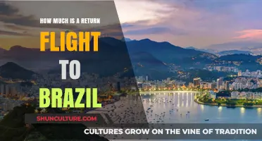 Return Flight to Brazil: Cost Breakdown and Budget Tips