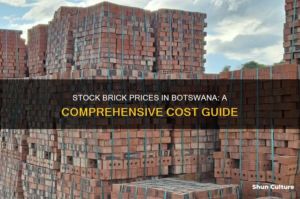 how much is a stock brick in botswana