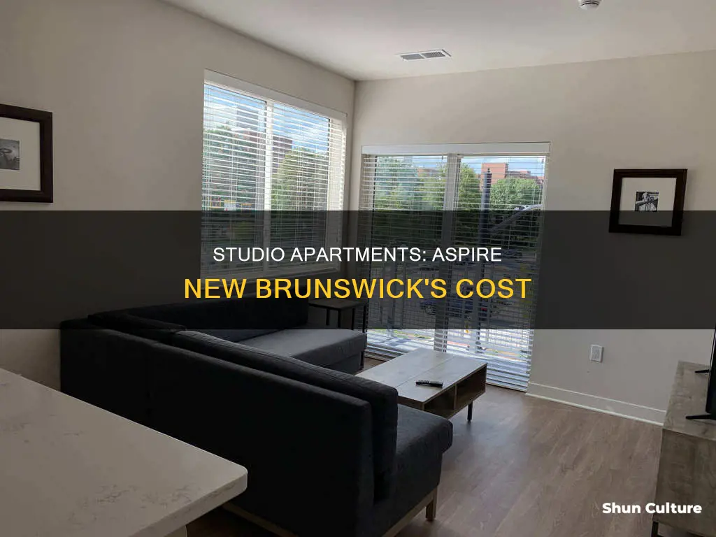 how much is a studio apartment in the aspirenew brunswick