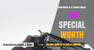 Taurus Brazil .38 Special: Current Value and Pricing Guide