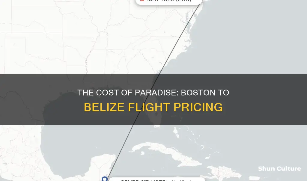 how much is a ticket to belize from boston