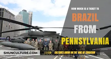 Pennsylvania to Brazil: Uncovering Affordable Flight Ticket Prices