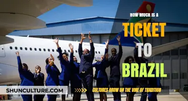 Exploring Brazil: Ticket Costs and Travel Budget Tips