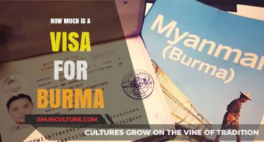 Exploring Myanmar: Visa Costs and Travel Tips