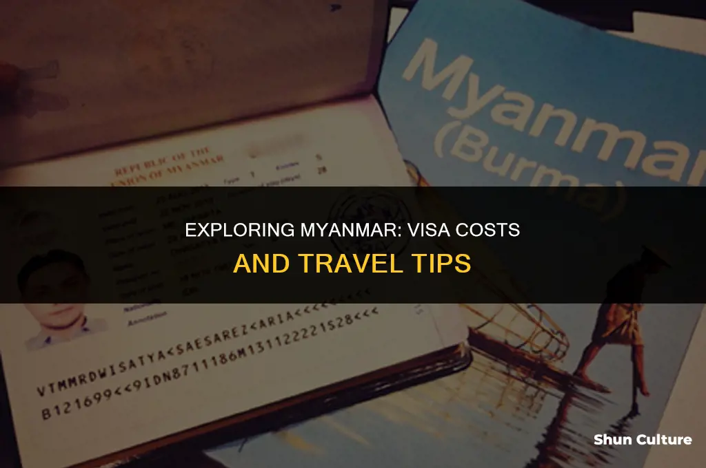 how much is a visa for burma