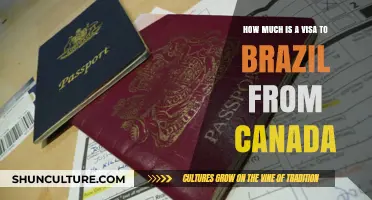 Brazil Visa Cost for Canadians: Fees and Application Guide