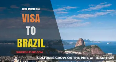 Brazil Visa Costs: A Comprehensive Guide to Fees and Requirements