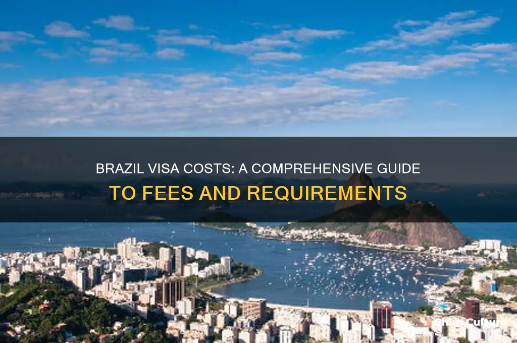 how much is a visa to brazil