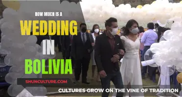 Exploring Wedding Costs in Bolivia