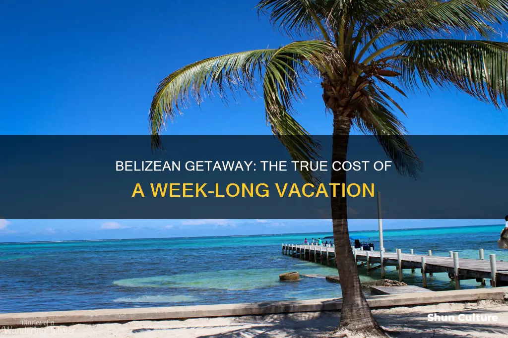 how much is a week vacation in belize