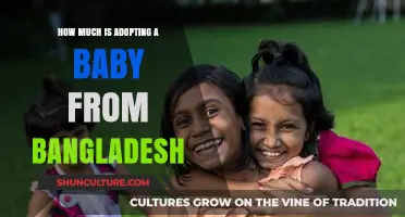Adopting a Baby from Bangladesh: Costs and Considerations Explained