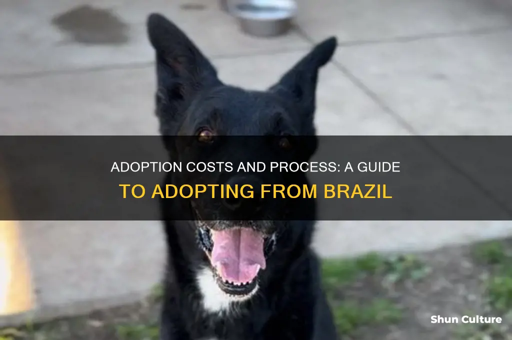 how much is adoption from brazil