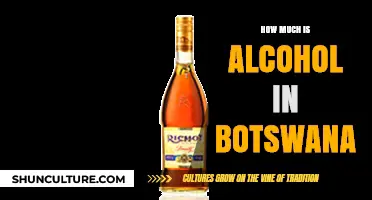 Alcohol Prices in Botswana: A Comprehensive Guide to Costs and Trends