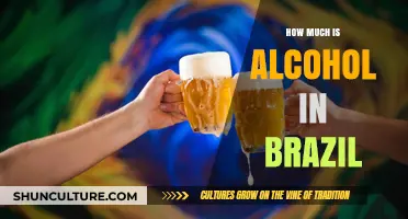 Exploring Alcohol Prices in Brazil: Costs and Popular Drinks Guide