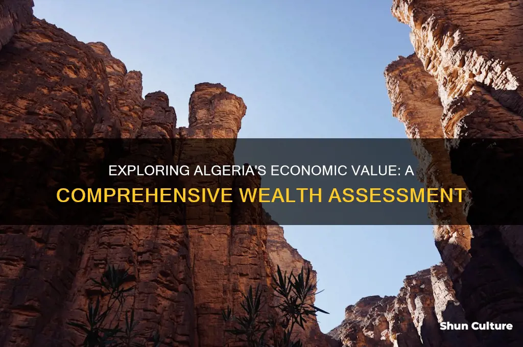 how much is algeria worth