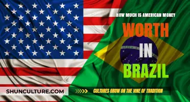 Understanding the Value of US Dollars in Brazil's Economy