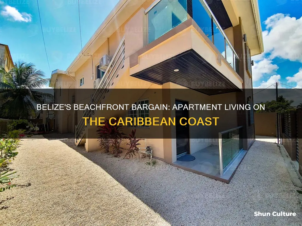 how much is an apartment in belize